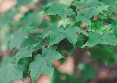 2023 White Book Environment and Energetic Transition